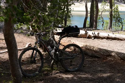 DSC_3193 (Large).JPG